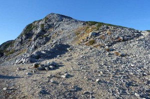 0721_黒部五郎岳の肩からみた山頂