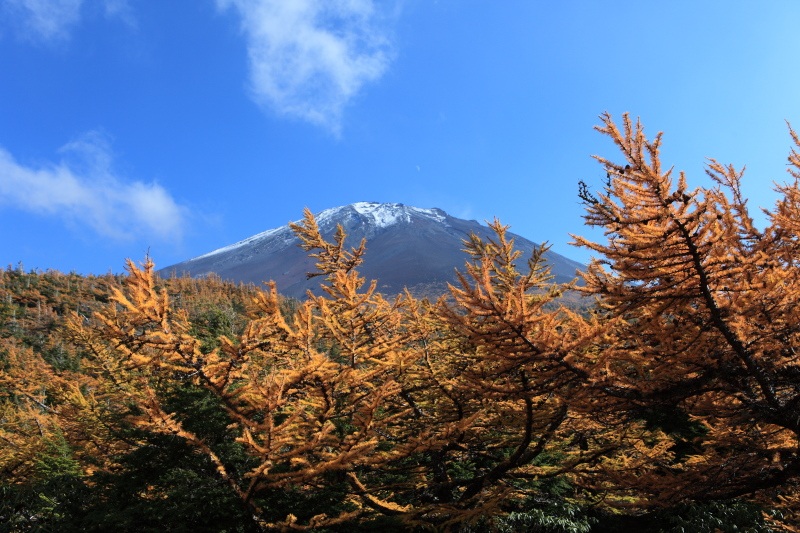 奥庭2