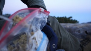 肉味噌クスクス炒飯__行動中に