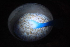 0402_3日目の朝食グラノーラ