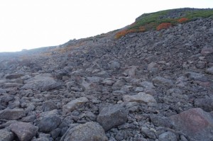 0536_祖父岳の登り