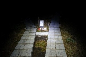 0435_スイス庭園分岐