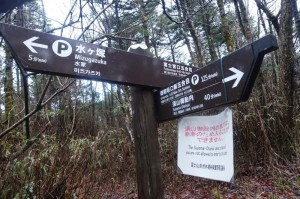 0659_須山口下山歩道との分岐