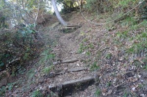 1443_最後の登り