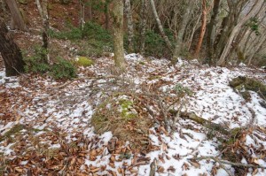 1150_登山道の残雪