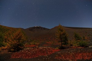 御殿庭の夜景