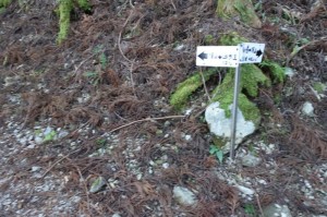 0950_遊歩道コースと杣小屋コースの分岐