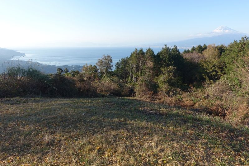 1450_富士山と内浦の海