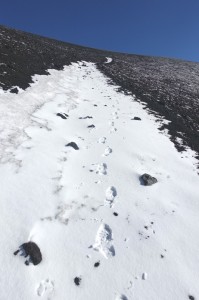 1203_宝永山への道2
