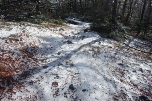 0943_須山口登山歩道の様子10