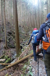 0913_登山道