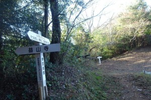 1433_葛城山との分岐