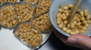 自家製納豆_自家製納豆を混ぜる