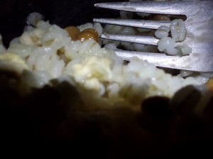 2016-03-22 19.32.16_麦飯アップ