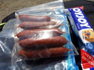 2016-03-23 11.06.58_行動食