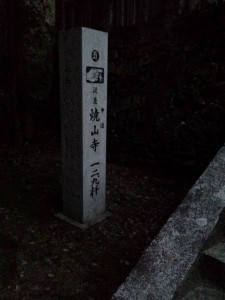 2016-03-25 05.48.34_へんろ石