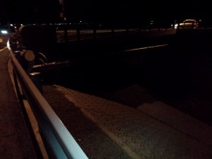 2016-03-26 20.15.43_園瀬川