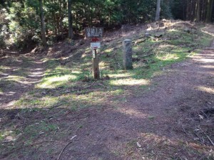2016-03-25 08.47.57_焼山寺への遍路道