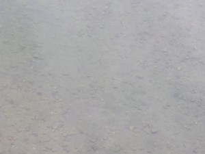 2016-03-27 09.19.37_川底