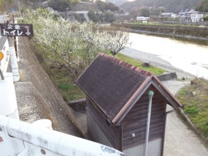 2016-03-26 06.24.22_トイレ