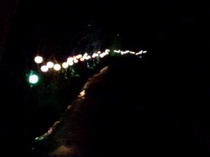 2016-03-27 18.58.58_川沿いの提灯の明かり