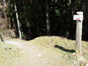 2016-03-25 14.13.56_焼山寺から下山中の遍路道