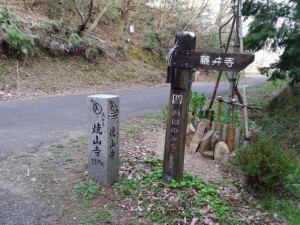 2016-03-25 06.16.40_車道を横切る
