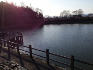 2016-03-26 17.01.33_地蔵院池緑地