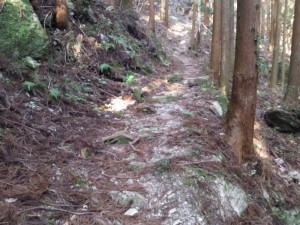 2016-03-25 16.30.44_玉ヶ峠への遍路道