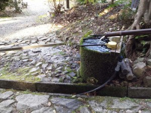 2016-03-25 09.06.51_柳水庵水場