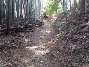 2016-03-27 12.06.33_山道
