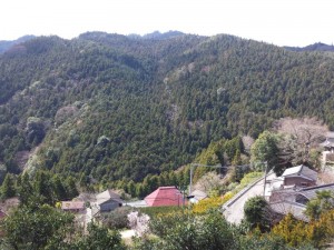 2016-03-25 11.41.07_焼山寺への道のり