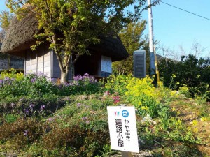 2016-03-28 07.22.48_かやぶき遍路小屋