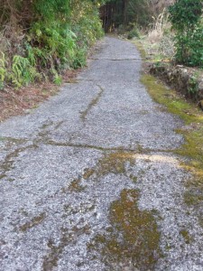 2016-03-28 07.43.49_鶴林寺への遍路道