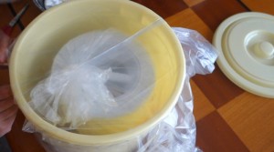 自家製梅干し(1)梅の漬け込み_工程8漬物袋を紐で縛る