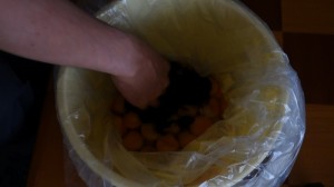 自家製梅干し(2)赤紫蘇漬け_工程6紫蘇をのせる