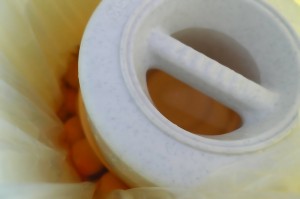 自家製梅干し(1)梅の漬け込み_工程9梅酢