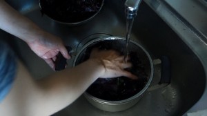 自家製梅干し(2)赤紫蘇漬け_工程2洗う