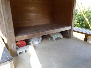 2016-03-28 07.23.42_遍路小屋内