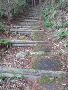 2016-03-28 08.04.17_鶴林寺への遍路道