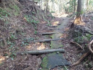 2016-03-28 08.06.21_鶴林寺への遍路道