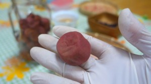 自家製梅干し(3)土用干し_試食