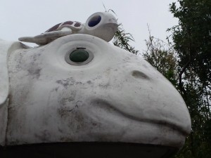 2016-04-04 07.47.00_かめの親子